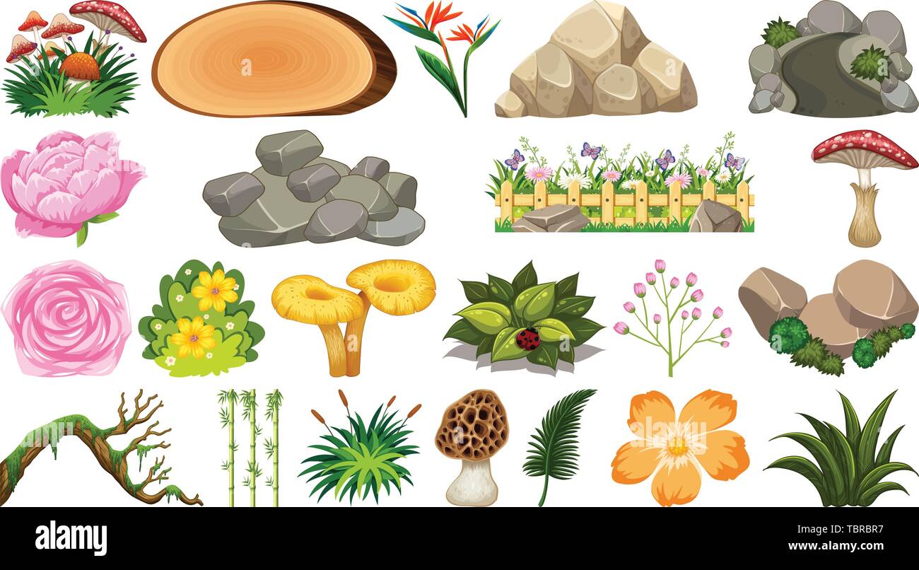 Set of nature objects illustration Stock Vector Image & Art Alamy