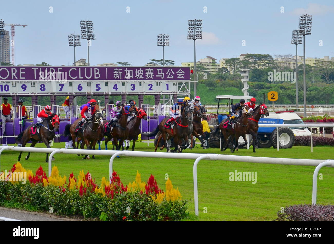 Singapore Horse Racing Association Stock Photo Alamy