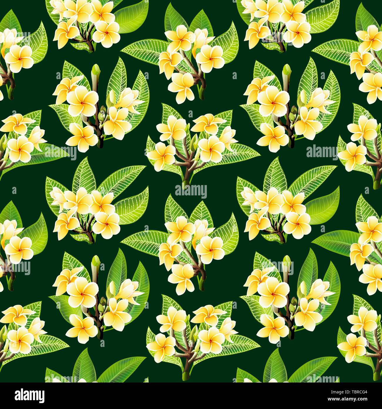 Beautiful tropical flowers seamless floral summer pattern vector background Stock Vector