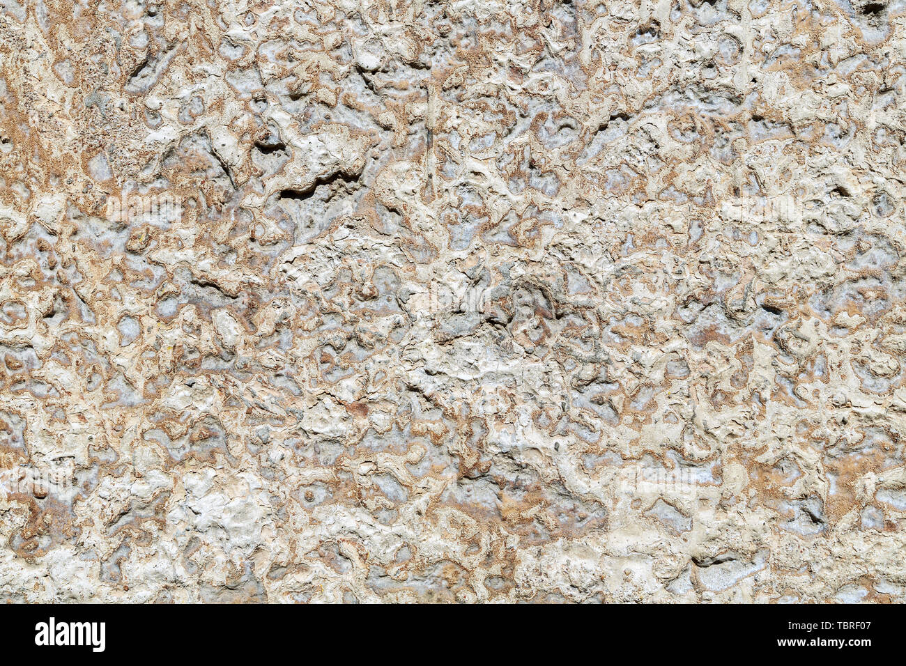 Rough concrete, lime, concrete, concrete Stock Photo Alamy