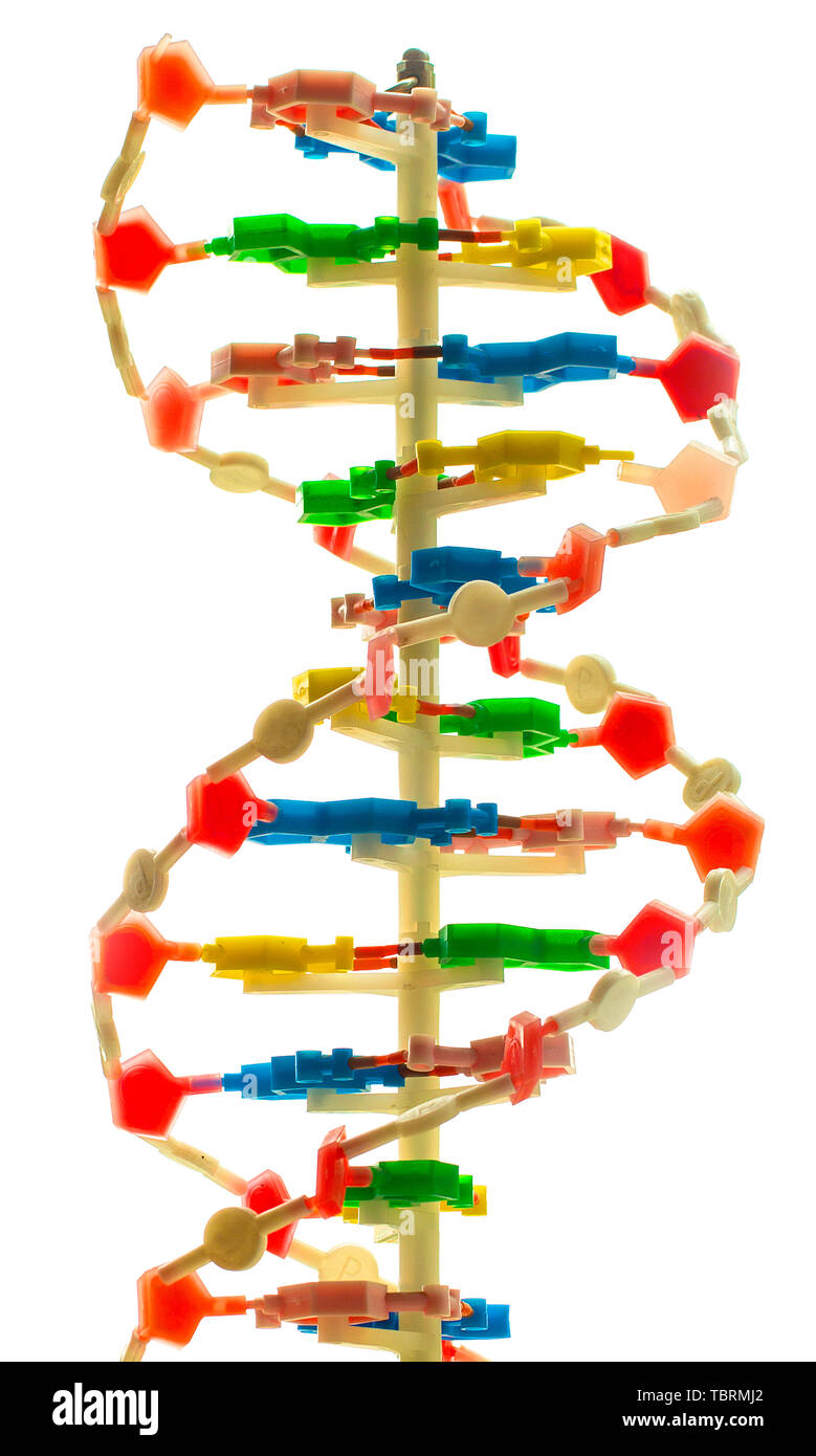 molecule structure isolated on the white background. close-up Stock Photo