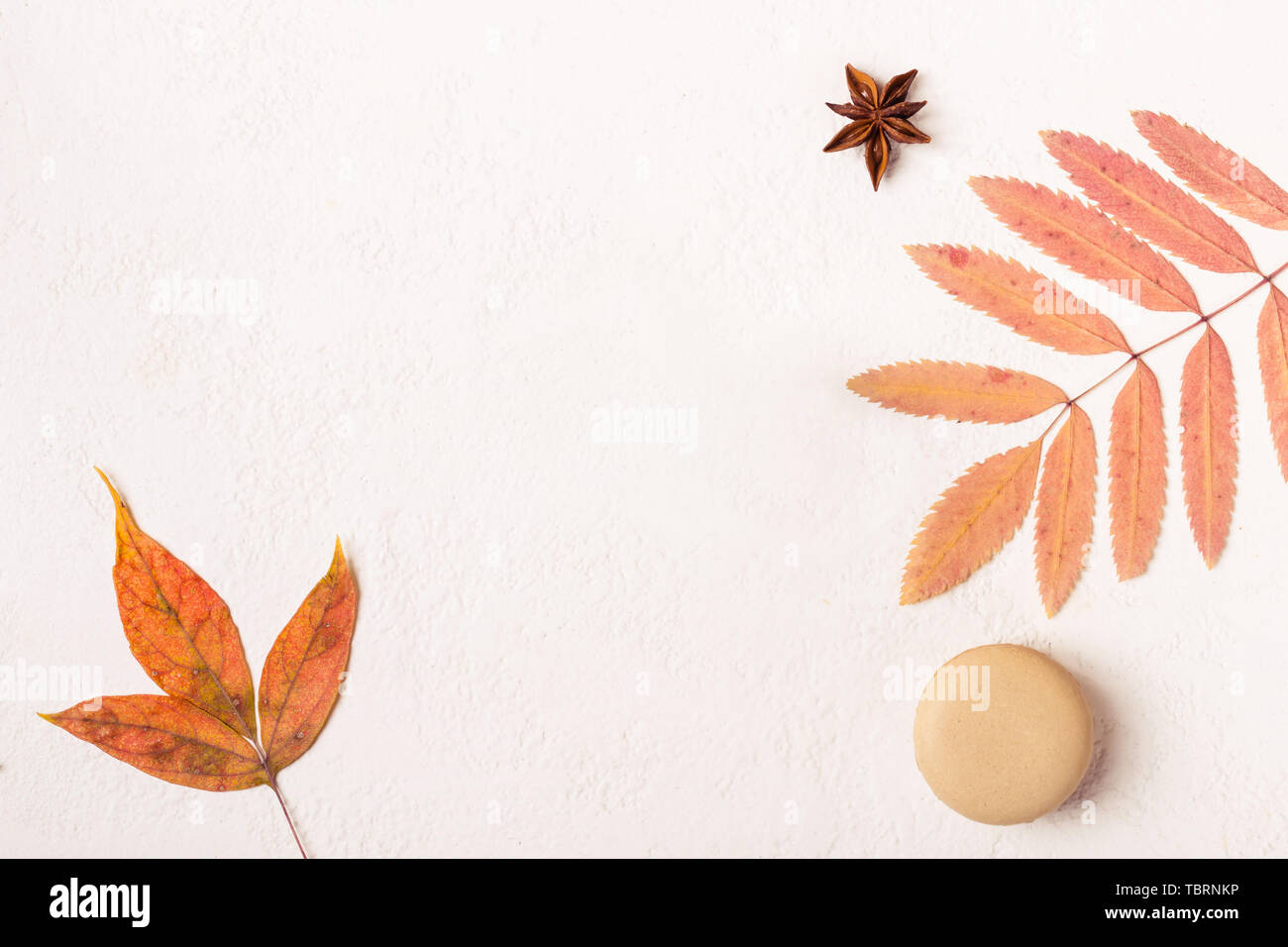 Autumn minimalistic style background hi-res stock photography and ...