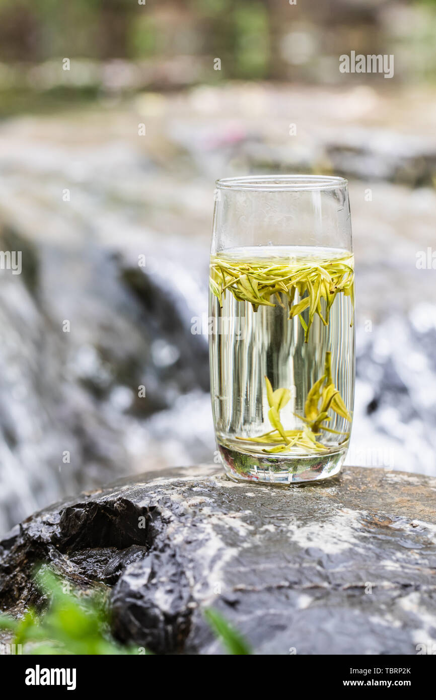 Garden angelica tea hires stock photography and images Alamy