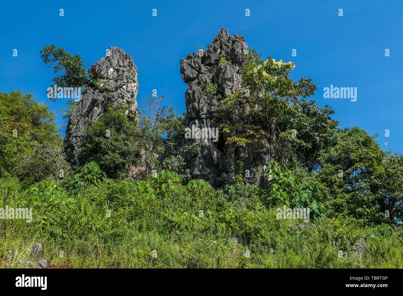 Ashima hi-res stock photography and images - Alamy