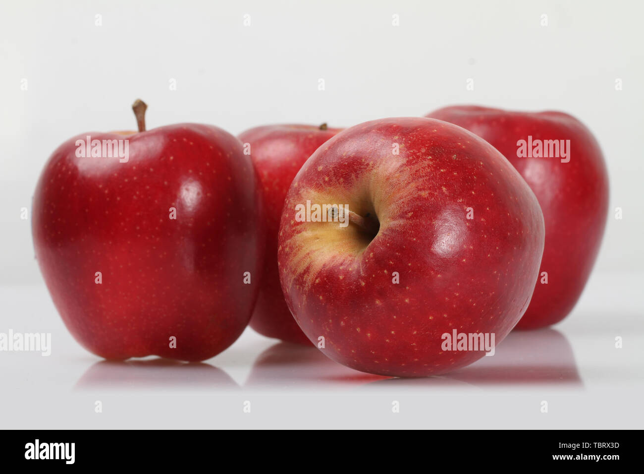New zealand red roses hires stock photography and images Alamy