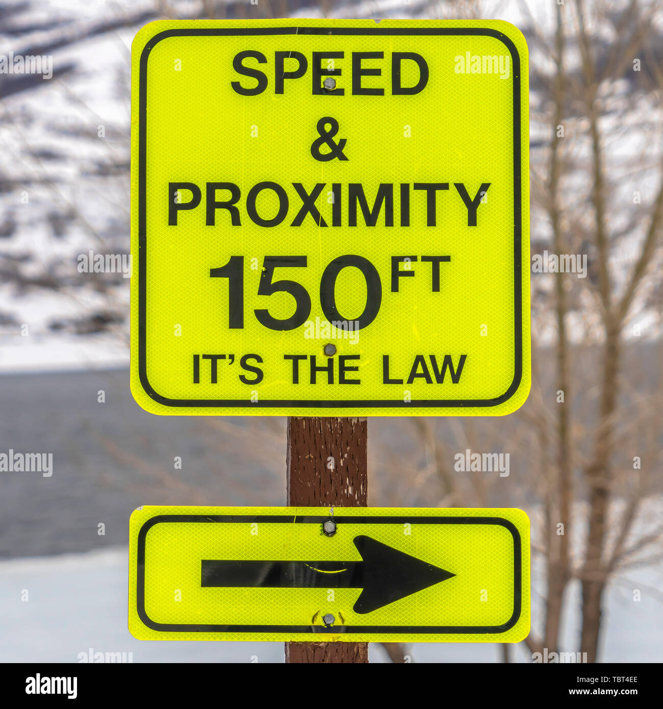 Square frame Close up of a bright yellow Speed and Proximity road sign ...