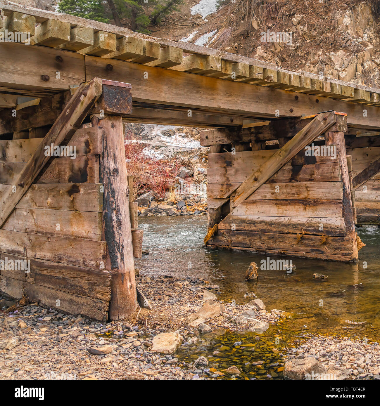 Square frame Rustic wooden bridge overlooking lush trees on a mountain ...