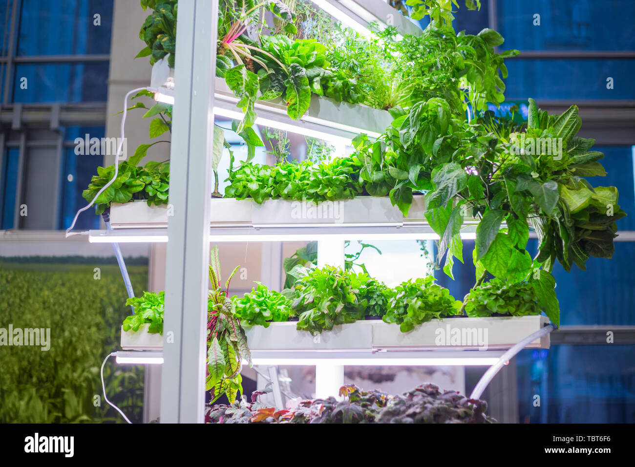 Garden Expo Indoor High Resolution Stock Photography And Images - Alamy