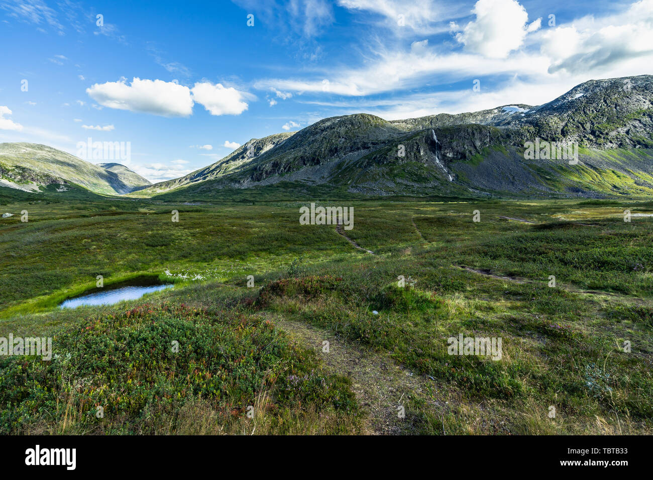 Landscape and nature at the upper part of the Valldalen Valley towards Trollstigen, Sunnmore, More og Romsdal, Norway Stock Photo