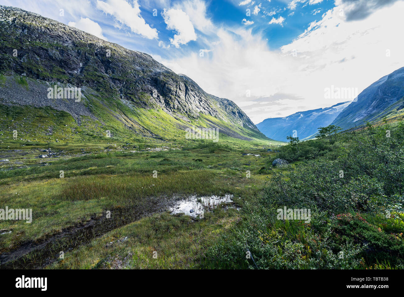 Landscape and nature at the upper part of the Valldalen Valley towards Trollstigen, Sunnmore, More og Romsdal, Norway Stock Photo