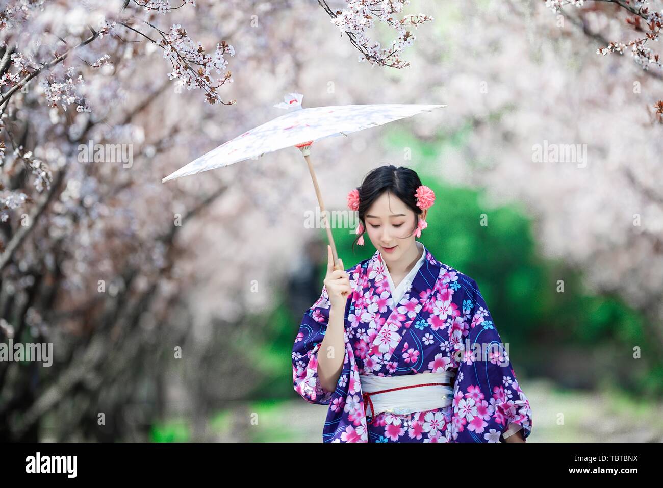 Beauty portrait kimono umbrella Japanese aesthetic ancient style ancient  costume flower forest Stock Photo - Alamy
