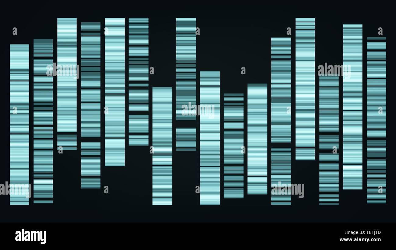 Design Color Big Genomic Data Visualization Vector Stock Vector Image ...