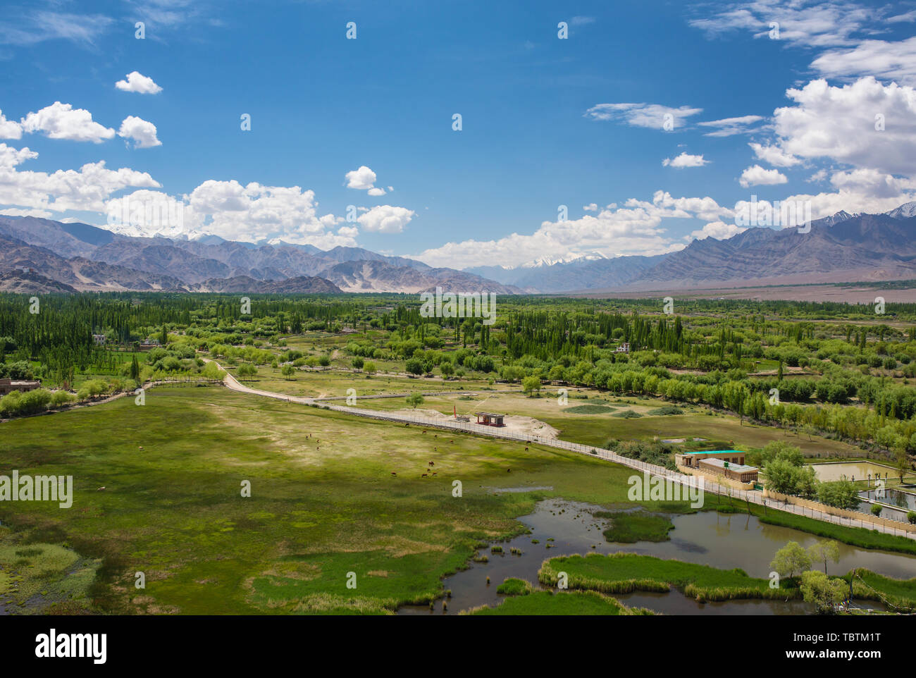 Beautiful panorama of green Indus valley near the Leh city in Ladakh