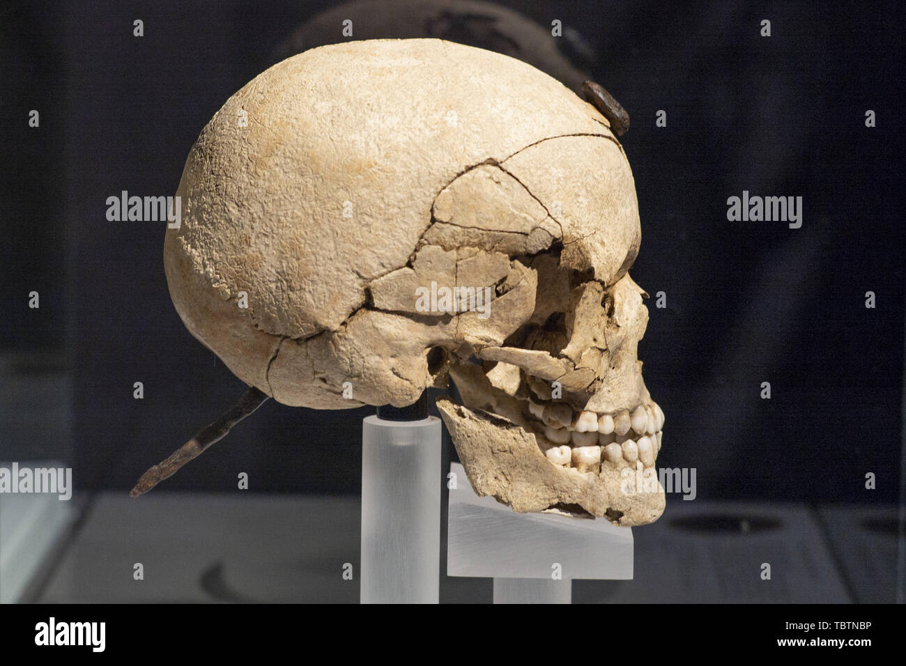 Exhibition 'Severed heads. Symbols of power' at the National Archaeological Museum in Madrid, Spain  Featuring: Atmosphere Where: Madrid, Spain When: 03 May 2019 Credit: Oscar Gonzalez/WENN.com Stock Photo