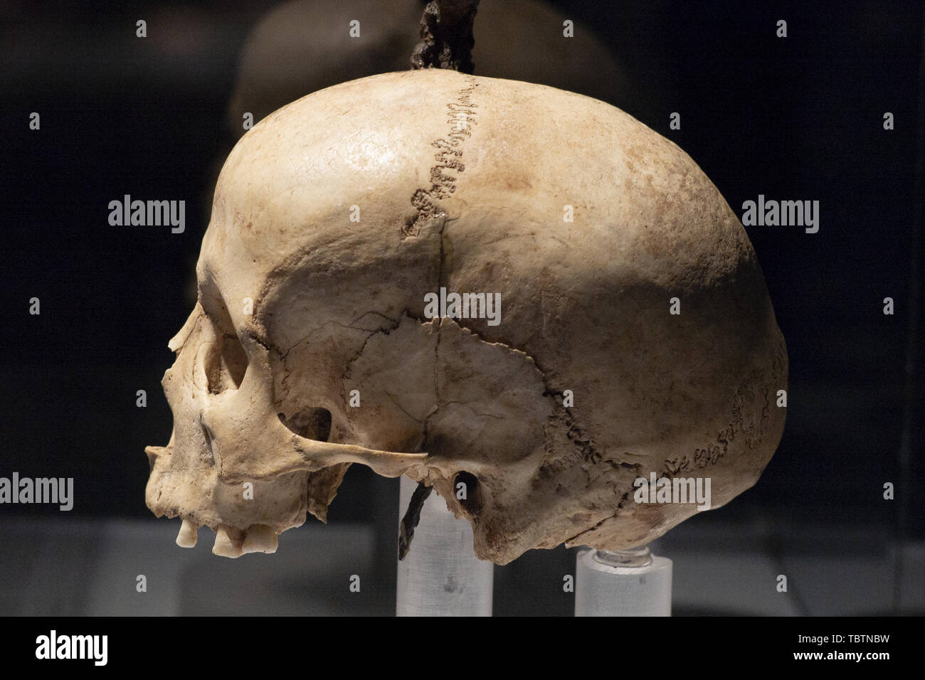 Exhibition 'Severed heads. Symbols of power' at the National Archaeological Museum in Madrid, Spain  Featuring: Atmosphere Where: Madrid, Spain When: 03 May 2019 Credit: Oscar Gonzalez/WENN.com Stock Photo