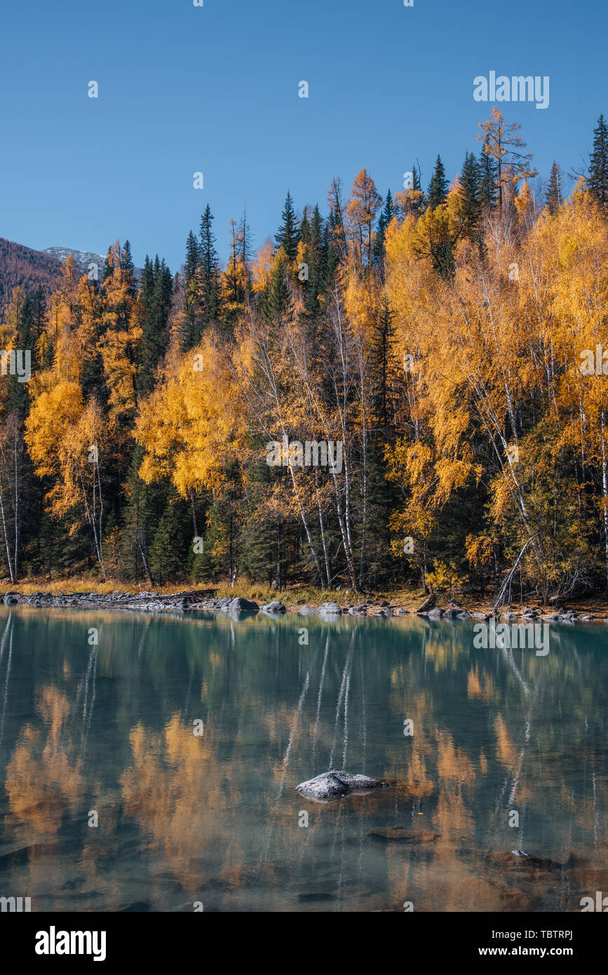 Autumn forest with lake Stock Photo - Alamy