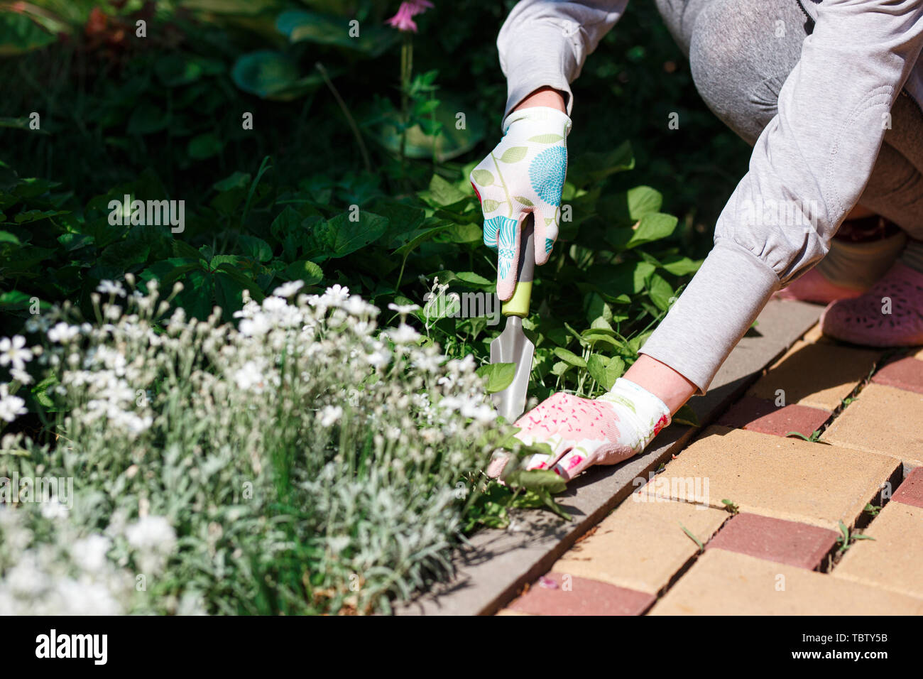 Removing weed hi-res stock photography and images - Alamy