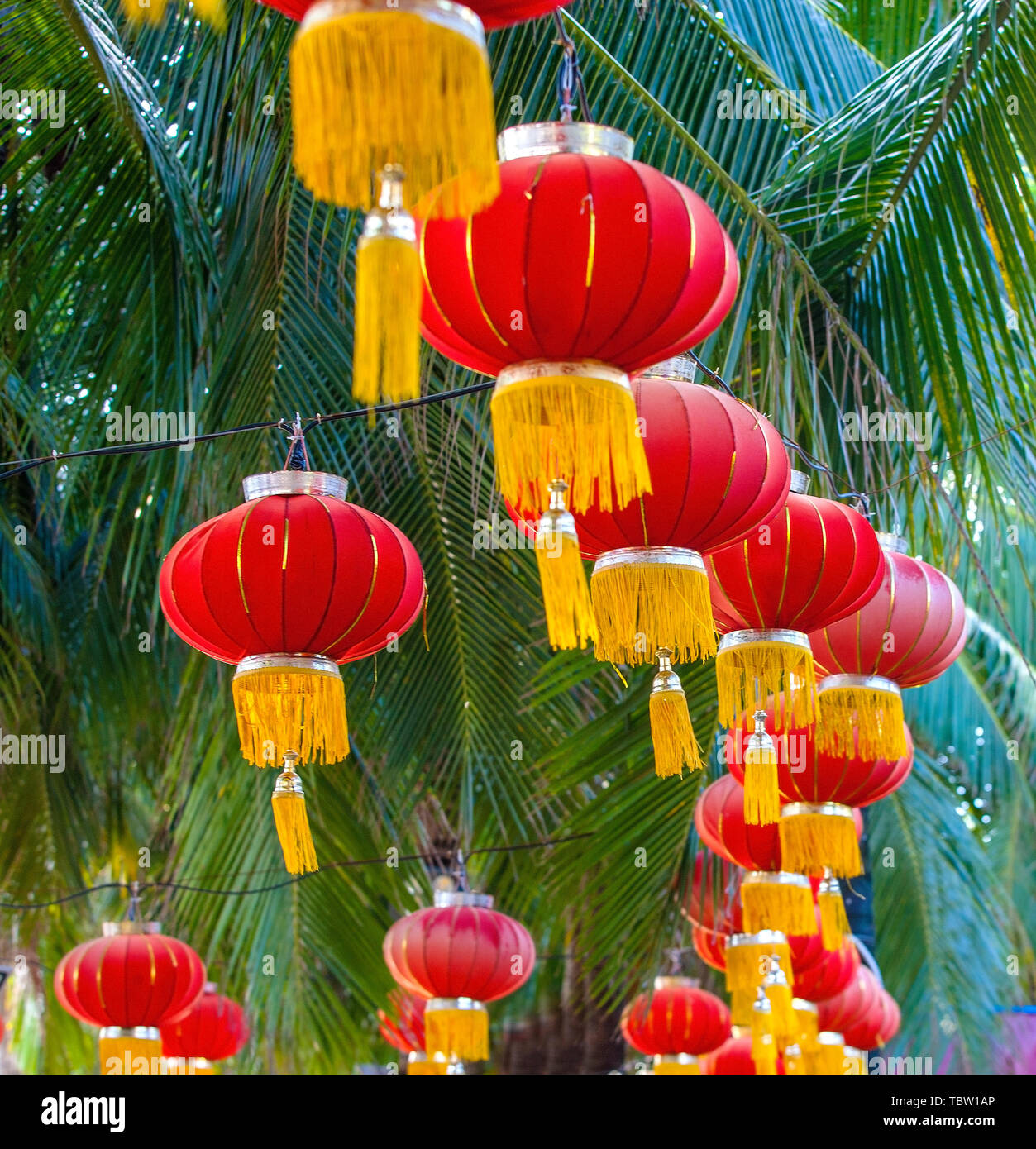 Paper lantern hanging on trees hi-res stock photography and images - Alamy