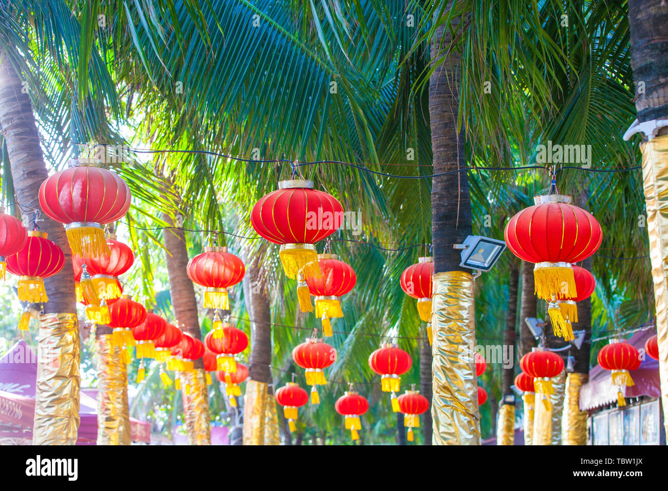 Paper lantern hanging on trees hi-res stock photography and images - Alamy
