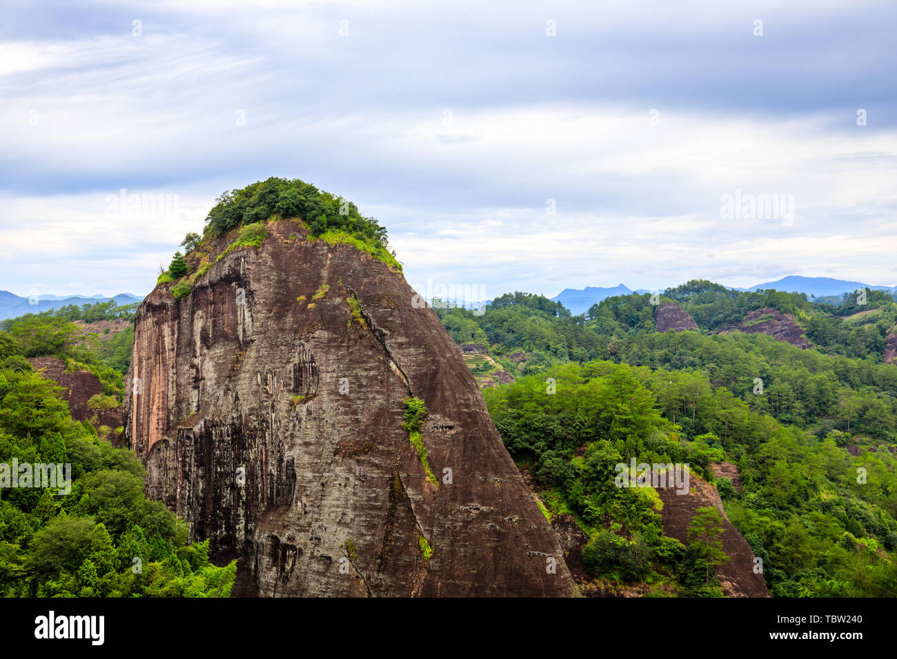 Tiger roaring rock hires stock photography and images Alamy