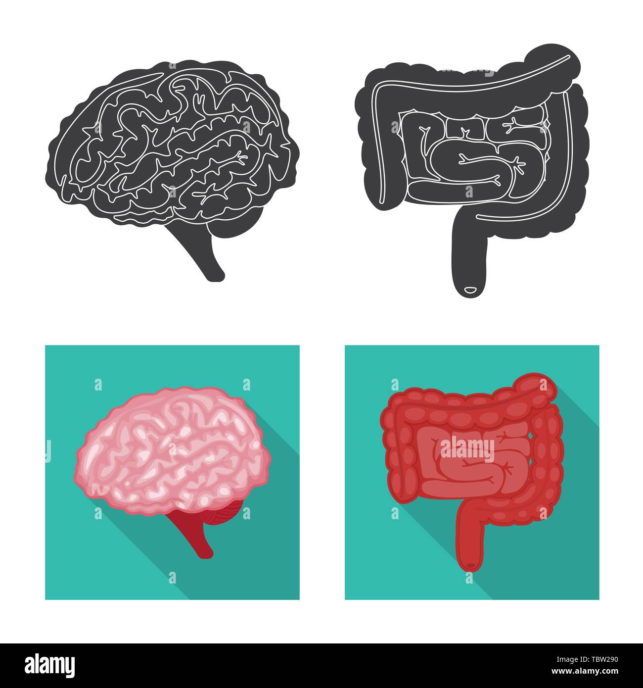 Vector illustration of biology and scientific symbol. Collection of ...