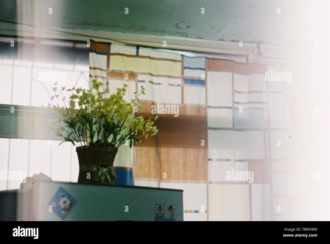 Flowers on the fridge Stock Photo Alamy