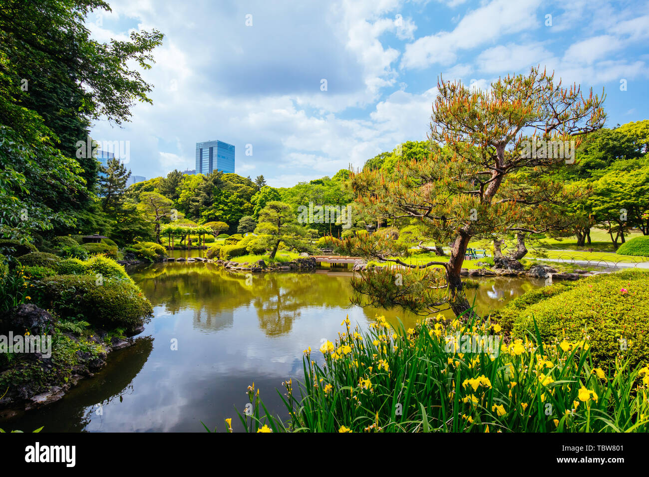 Shinjuku Gyoen National Garden in Tokyo Stock Photo Alamy