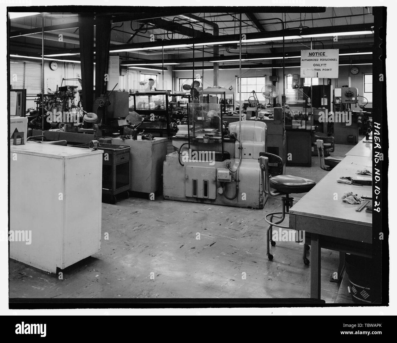 Mountain turtle Black and White Stock Photos & Images Alamy