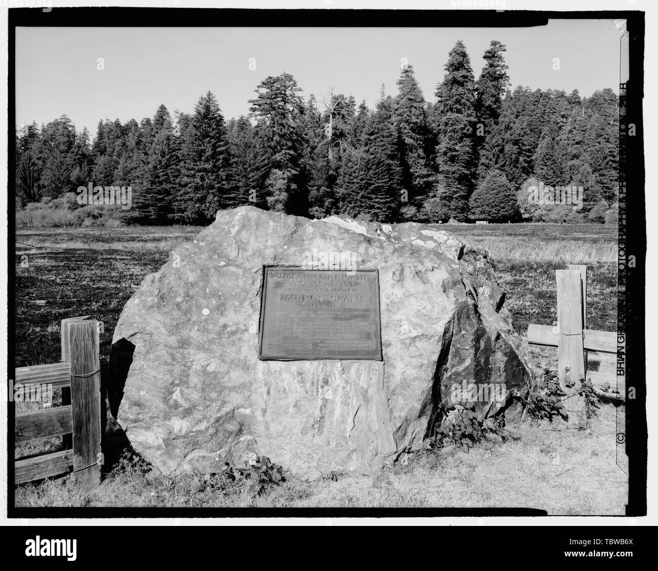 MADISON GRANT TABLET AT PRAIRIE CREEK STATE PARK. HUMBOLDT COUNTY, CALIFORNIA. LOOKING W.  Redwood National and State Parks Roads, California coast from Crescent City to Trinidad, Crescent City, Del Norte County, CA Stock Photo