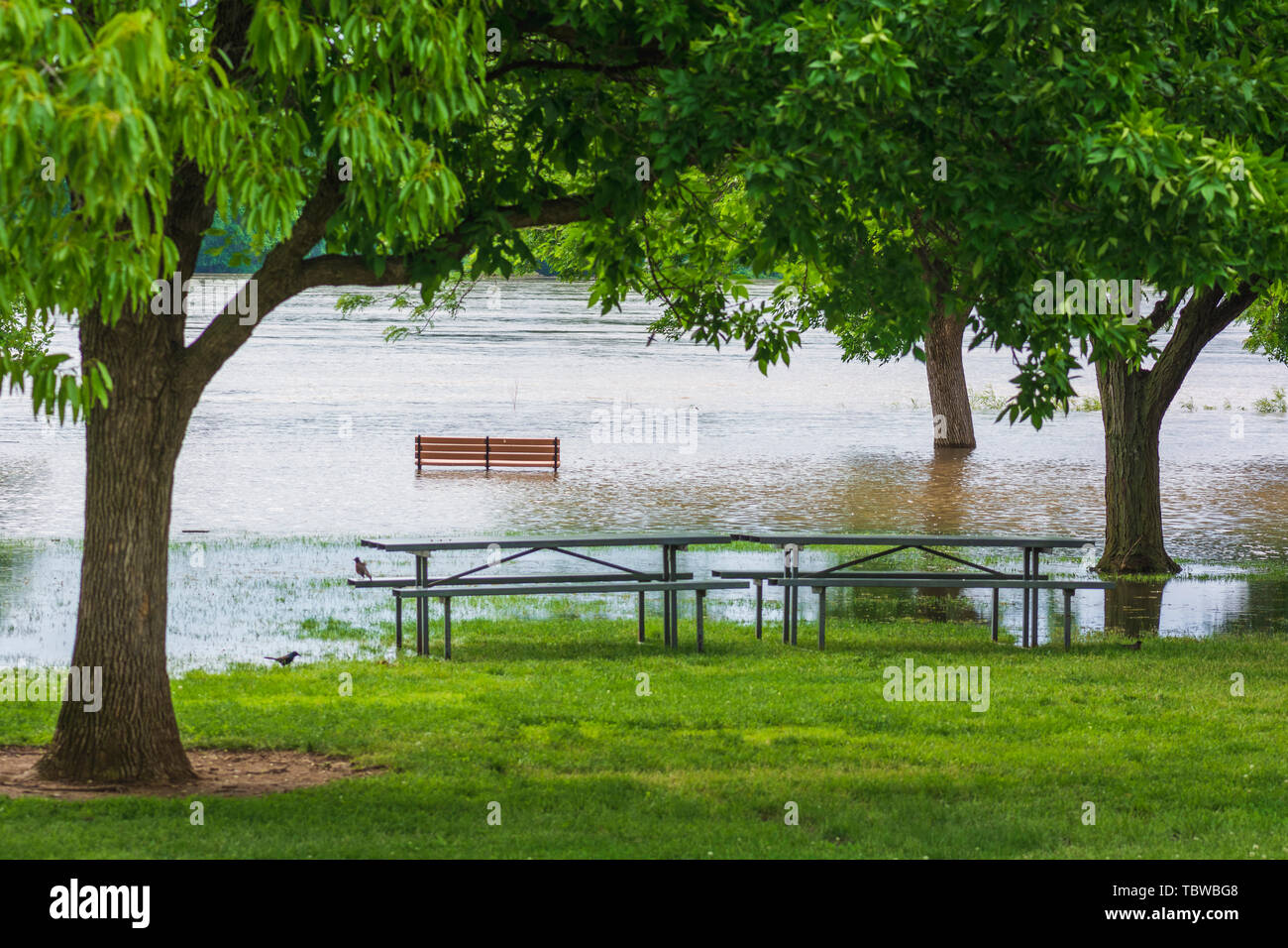 Water table rise hi-res stock photography and images - Alamy