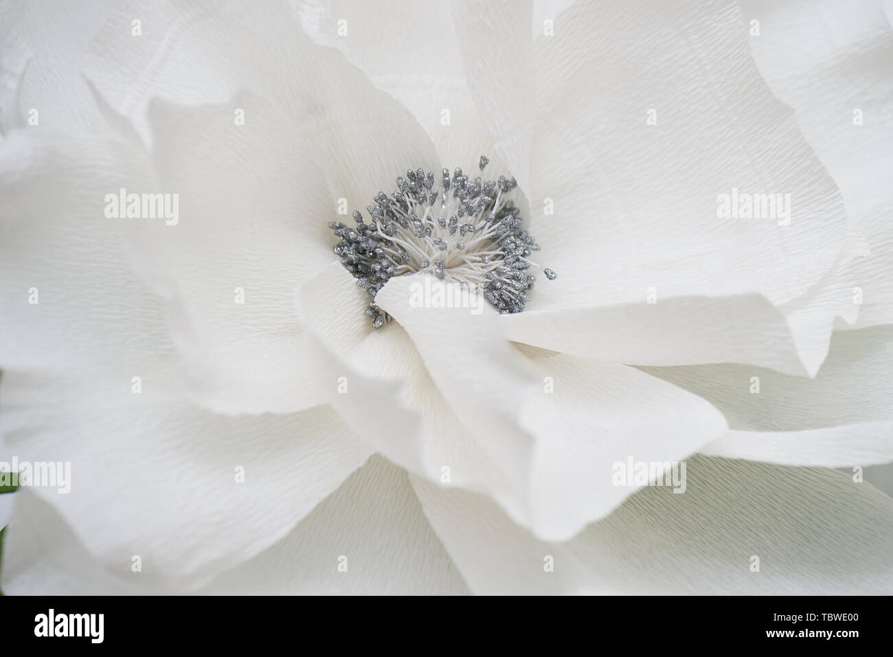 White handmade paper texture hi-res stock photography and images - Alamy
