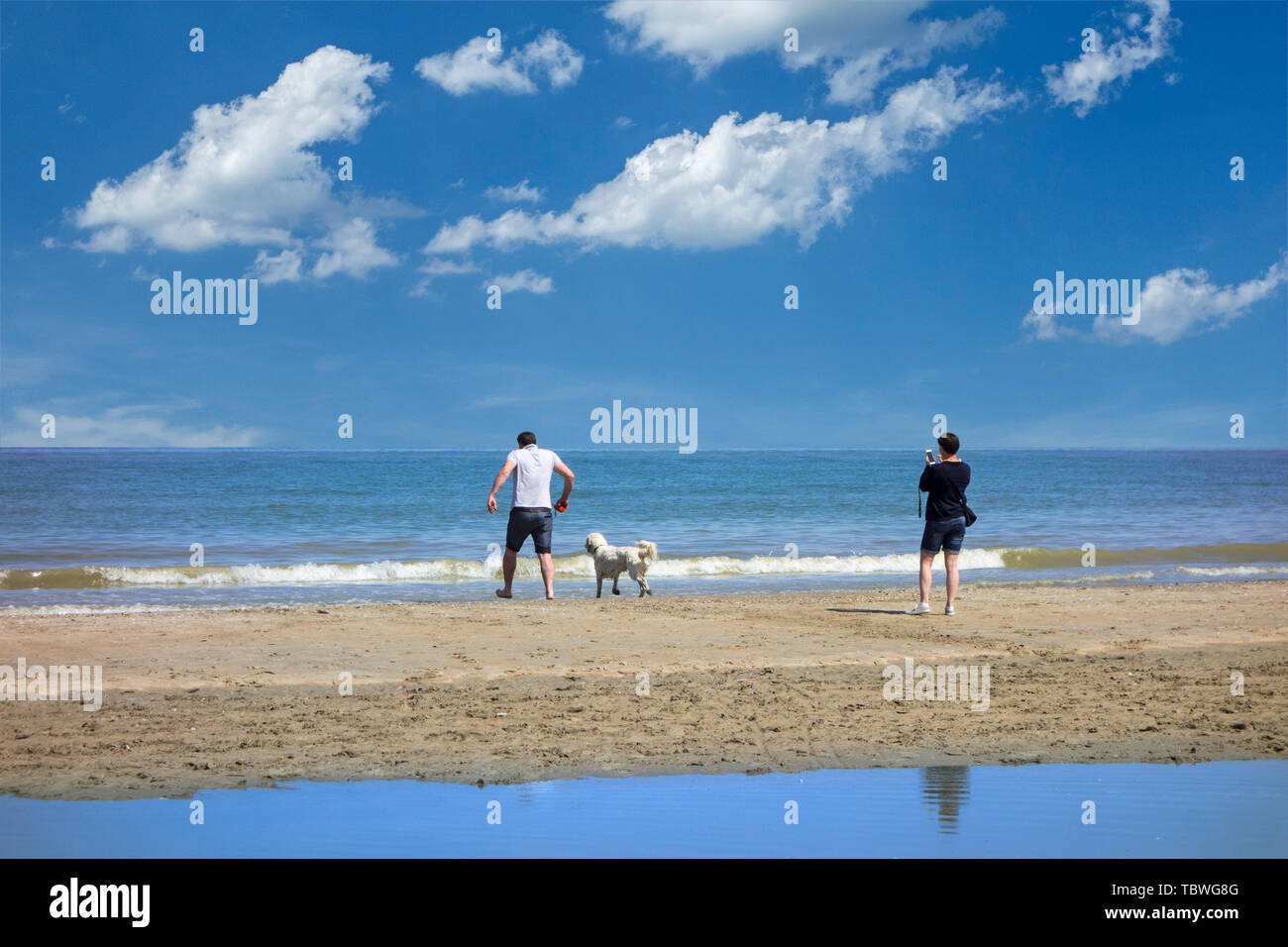 Family beach playing sea hi-res stock photography and images - Alamy