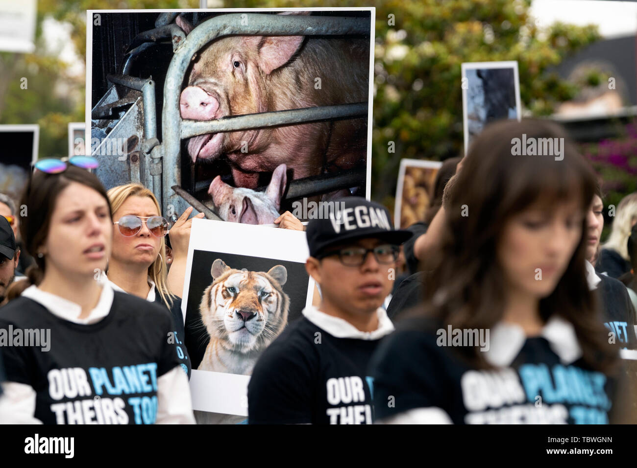 Animal rights activists hold pictures of animals during the 9th Annual ...