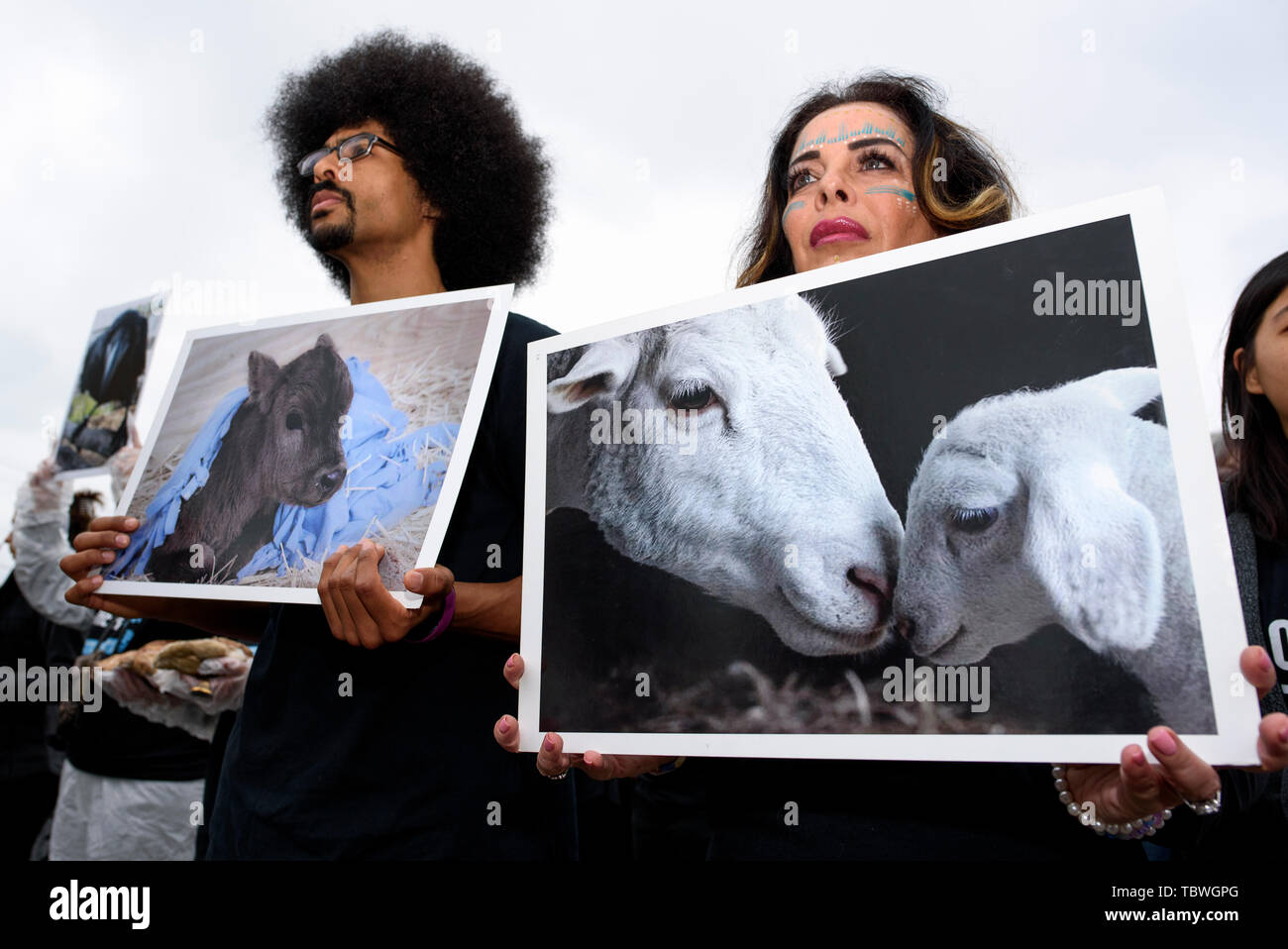 Animal rights activists hold pictures of animals during the ...