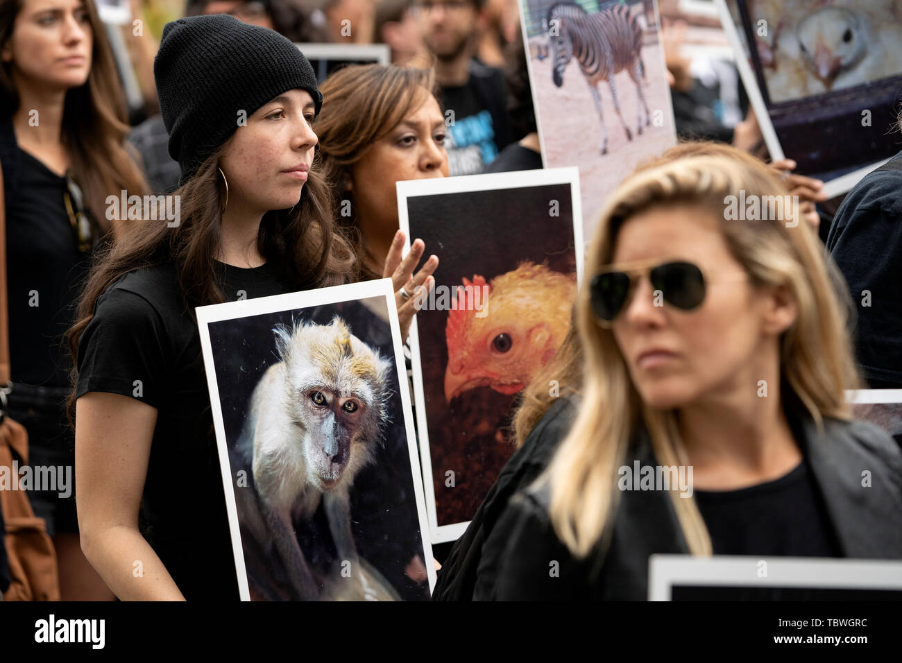Animal rights activist holds a picture of a monkey during the 9th Annual National Animal Rights Day in Los Angeles, California.  The event included a memorial ceremony and a funeral march for animals that are slaughtered for meat consumption, die in research laboratories and the cosmetics industry. Organizers called to end animal cruelty and suffering. Stock Photo