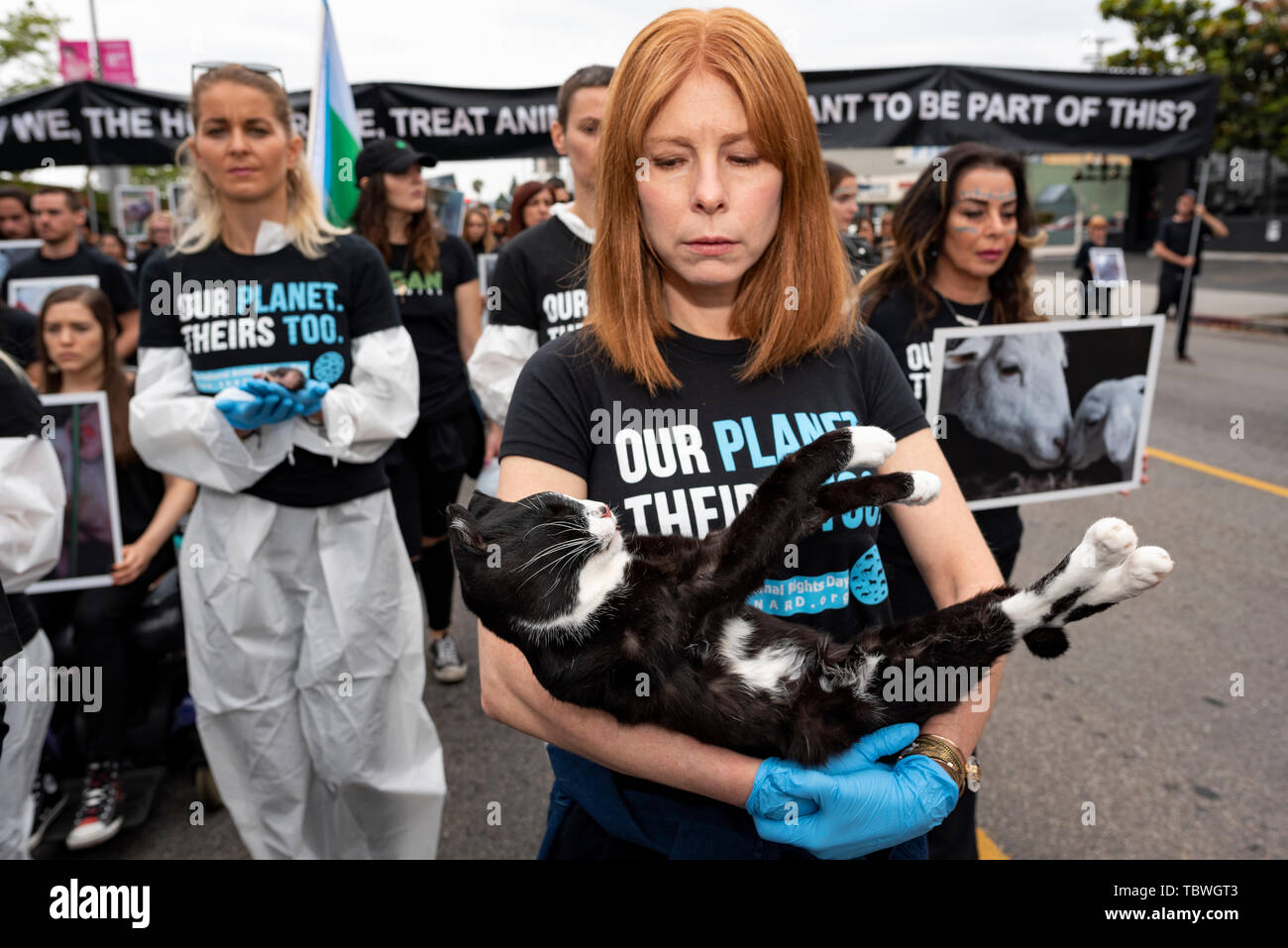 (EDITORS NOTE: Image depicts death) An animal rights activist holds a dead cat during the 9th Annual National Animal Rights Day in Los Angeles, California.  The event included a memorial ceremony and a funeral march for animals that are slaughtered for meat consumption, die in research laboratories and the cosmetics industry. Organizers called to end animal cruelty and suffering. Stock Photo