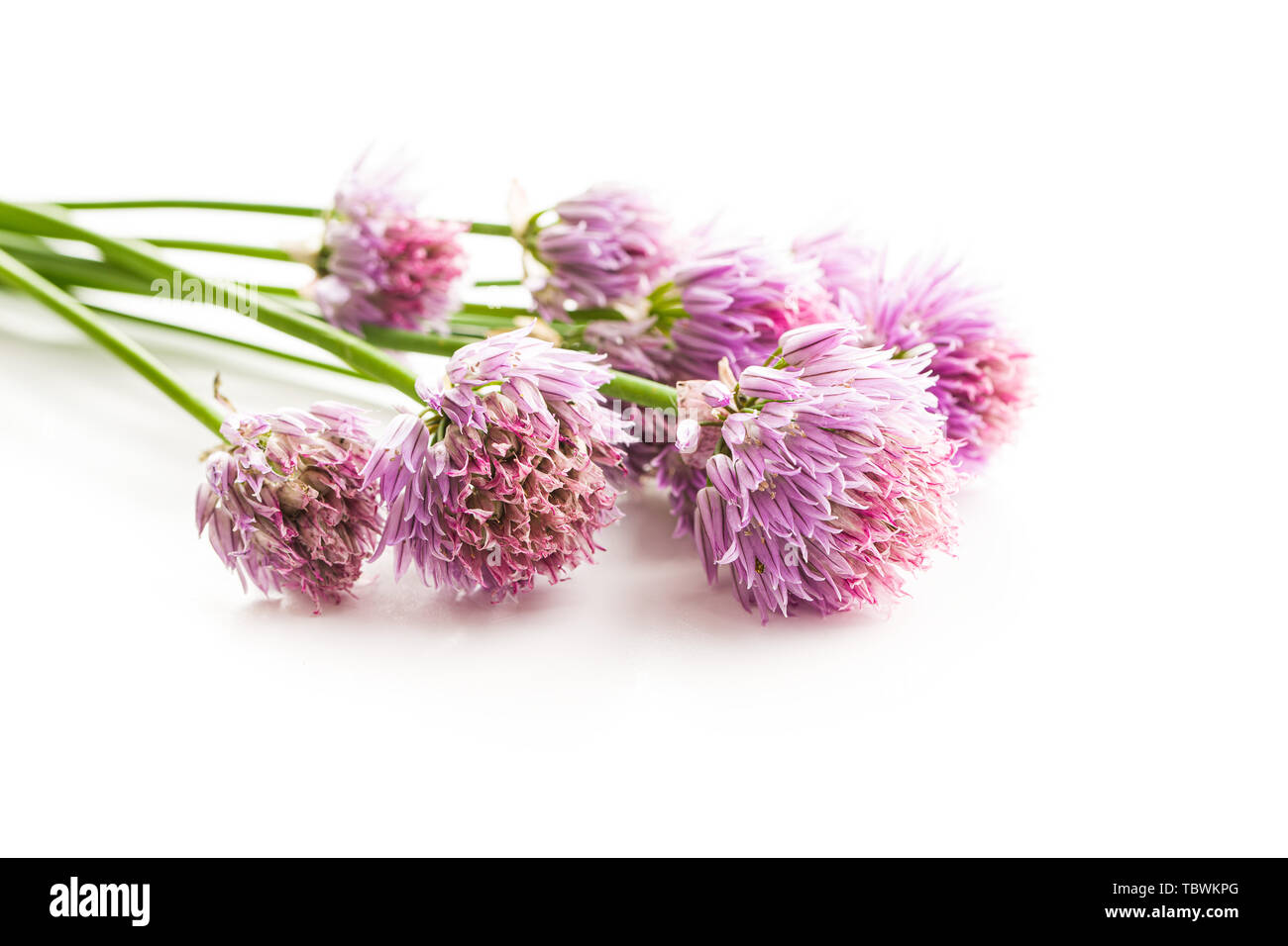 Chives with Flowers isolated on white background. Stock Photo