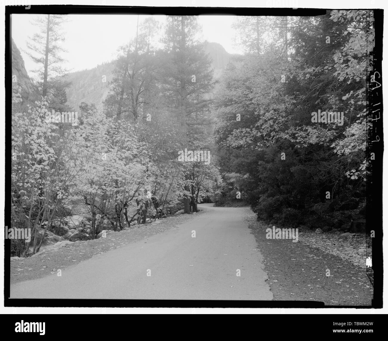 MIRROR LAKE ROAD. LOOKING SSW FROM HILL. GIS N37 44 42.3 W119 33 04.3