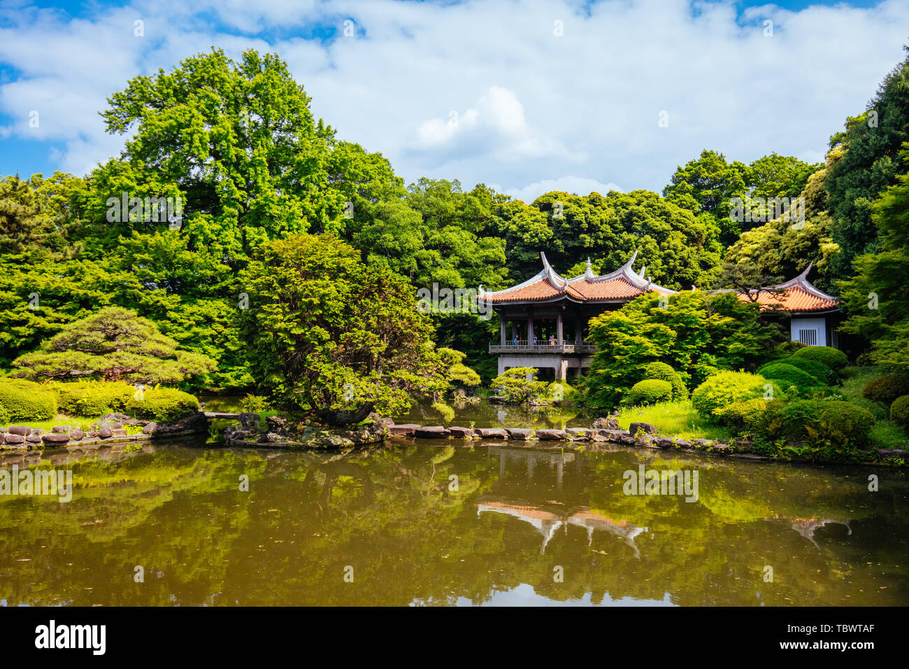 Shinjuku Gyoen National Garden in Tokyo Stock Photo - Alamy