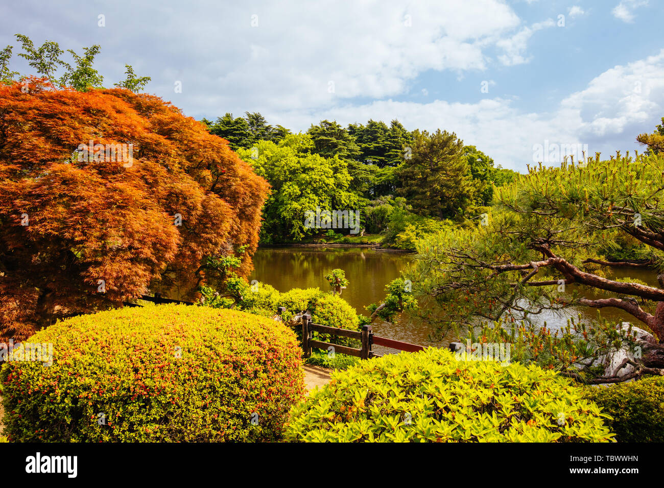 Shinjuku Gyoen National Garden in Tokyo Stock Photo - Alamy