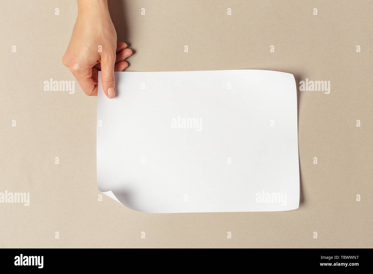 Hand holding papers a4 size Stock Photo Alamy