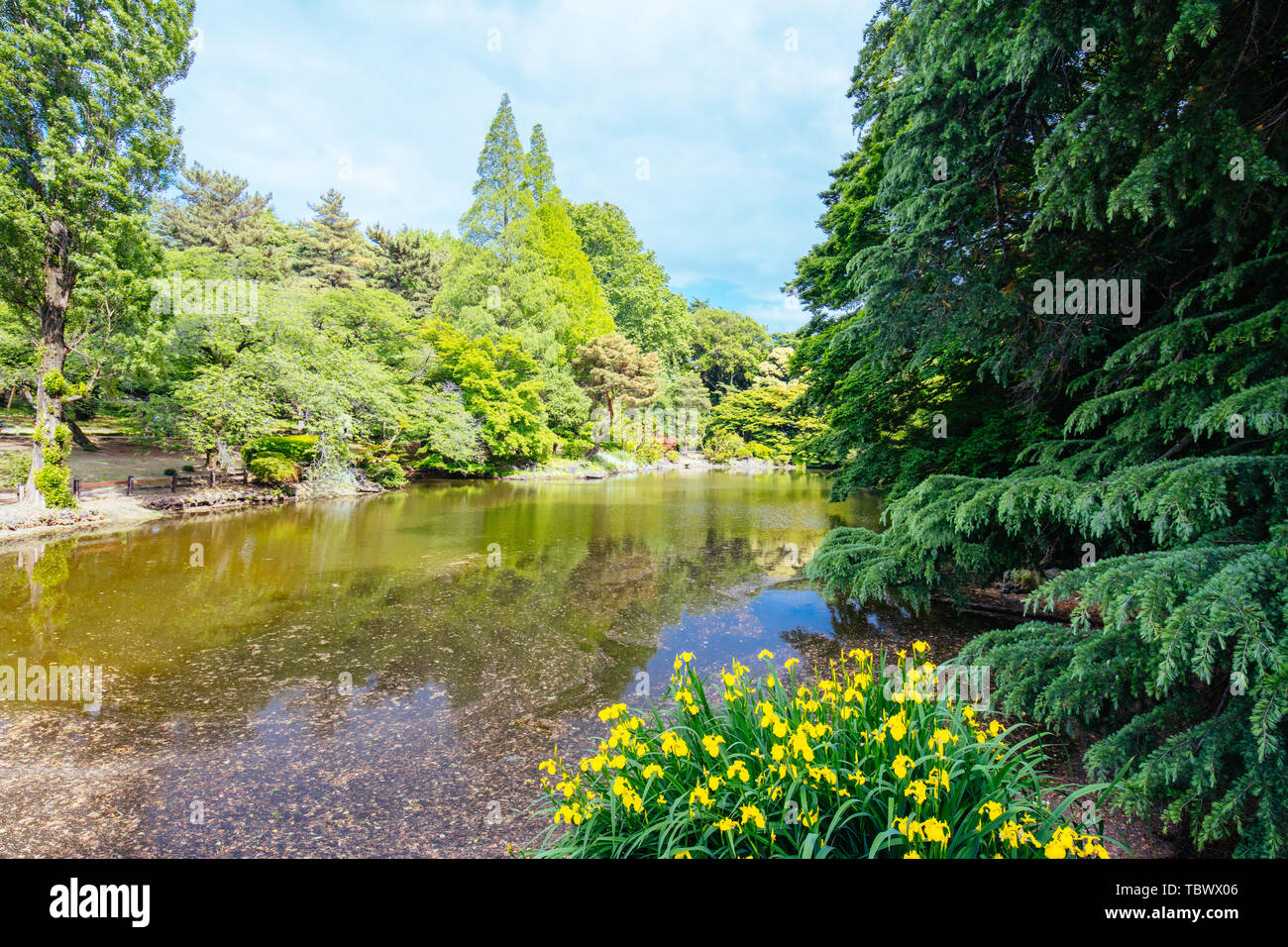 Shinjuku Gyoen National Garden in Tokyo Stock Photo - Alamy