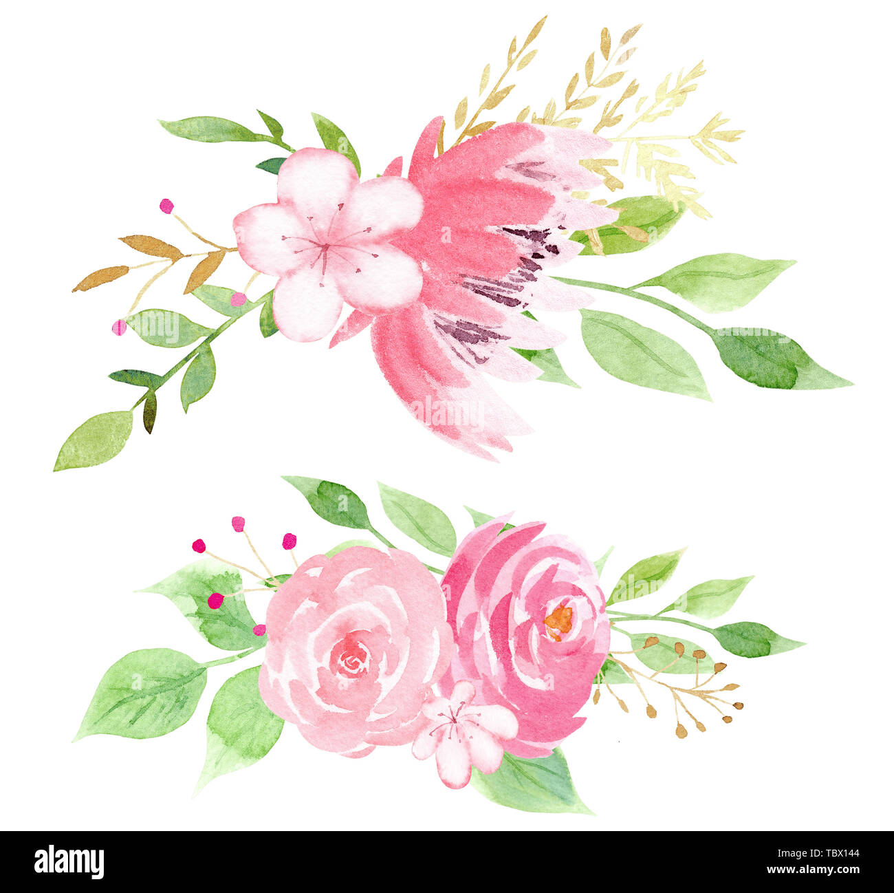 Pink blossom with leaves raster illustration Stock Photo