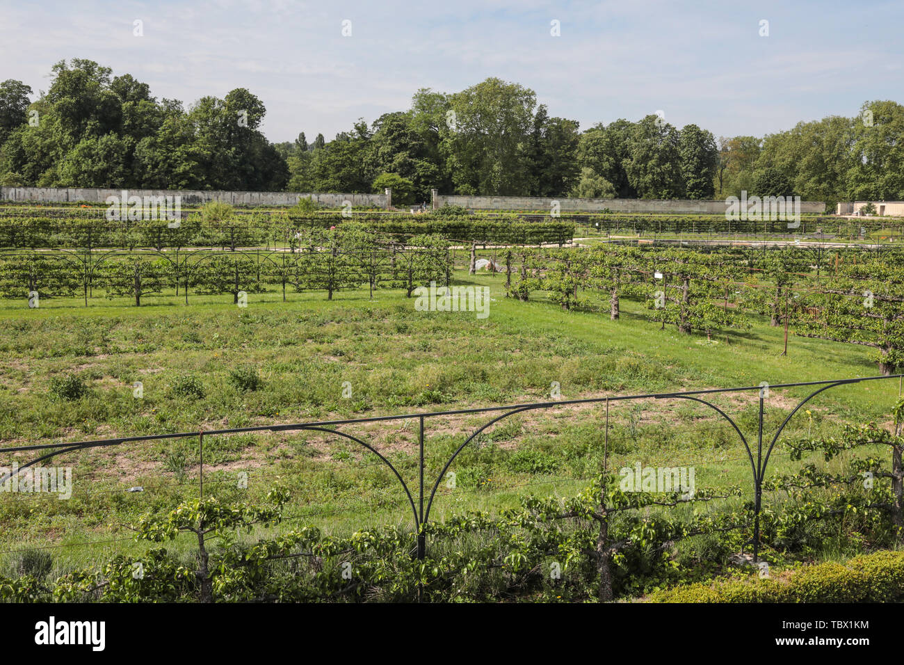 Versailles louis xiv table hi-res stock photography and images - Alamy
