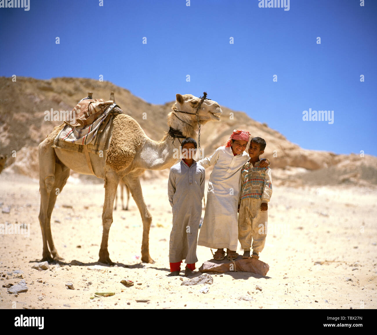 Three boys with a camel in the desert Stock Photo