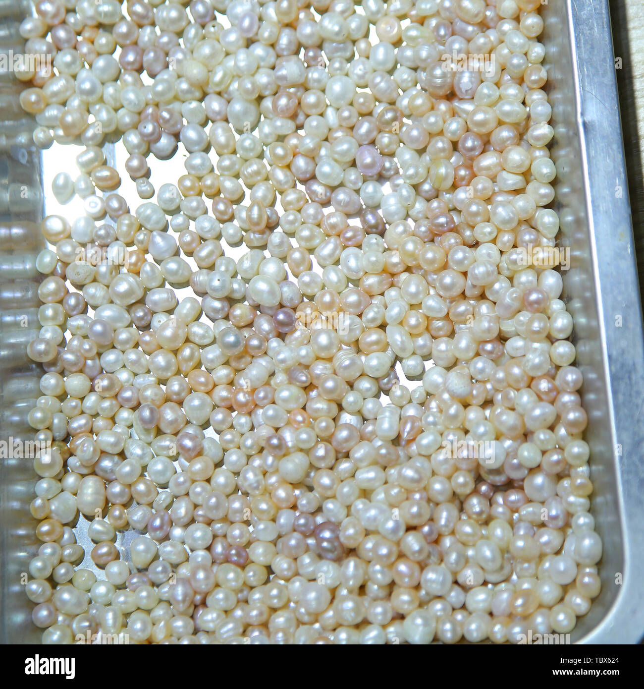 Freshwater pearls Stock Photo