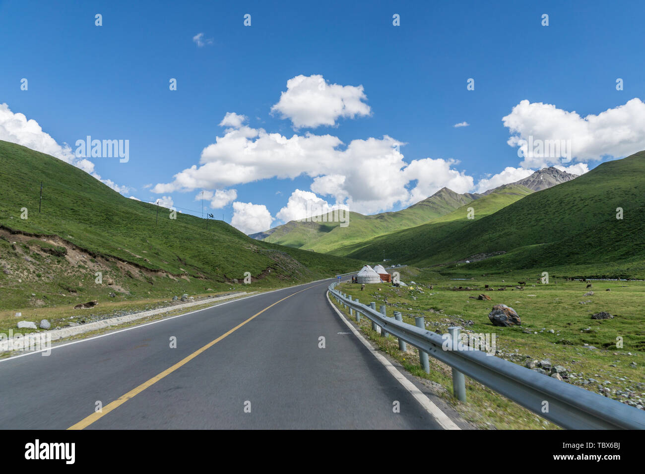 Summer Xinjiang alpine grassland road car background Stock Photo - Alamy