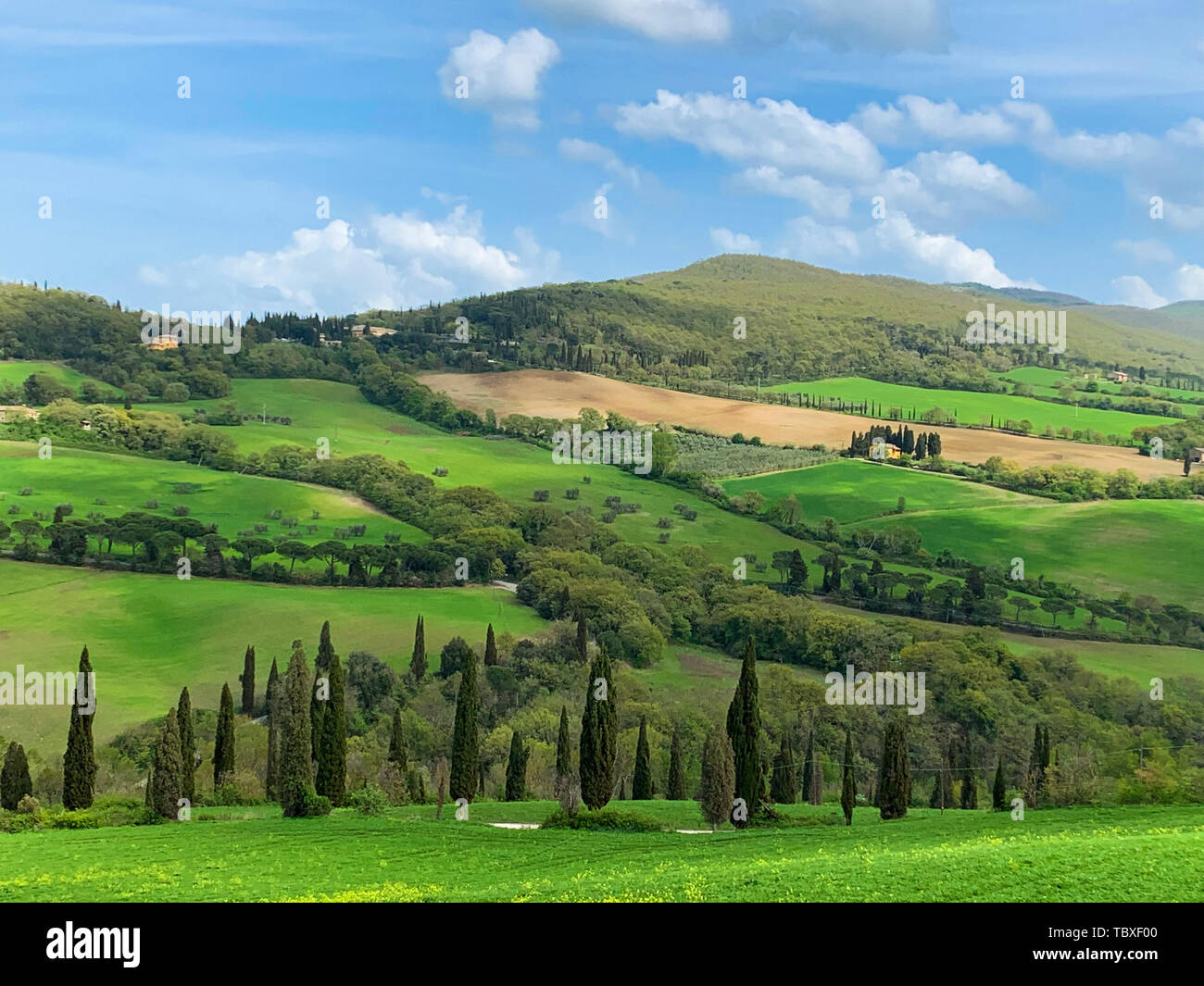 Landscape in spring. Sinuous gorgeous green hills in a sunny day. Stock Photo