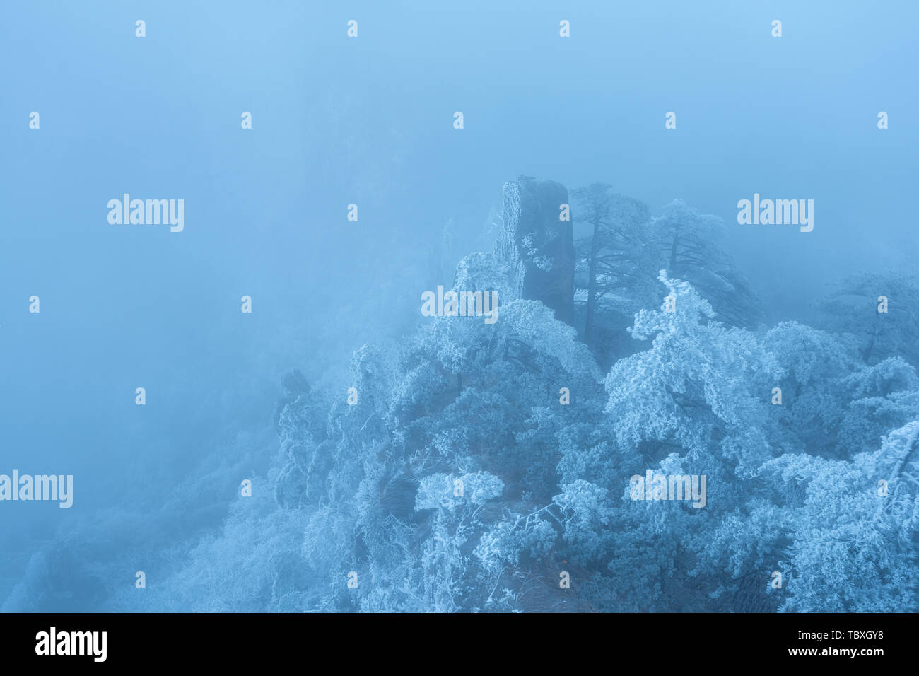 Heavy rime hi-res stock photography and images - Alamy