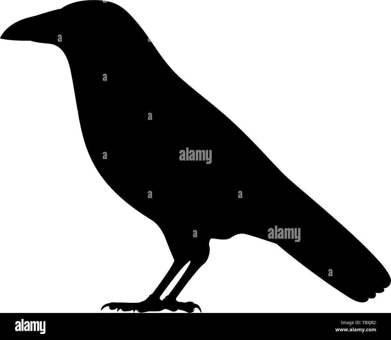 Caw Black And White Stock Photos Images Alamy